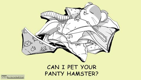 pantyhampster.jpg