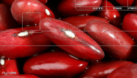 psp_kidney_beans.jpg