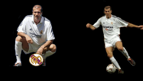 zidane.gif